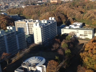 Suzukakedai-2
