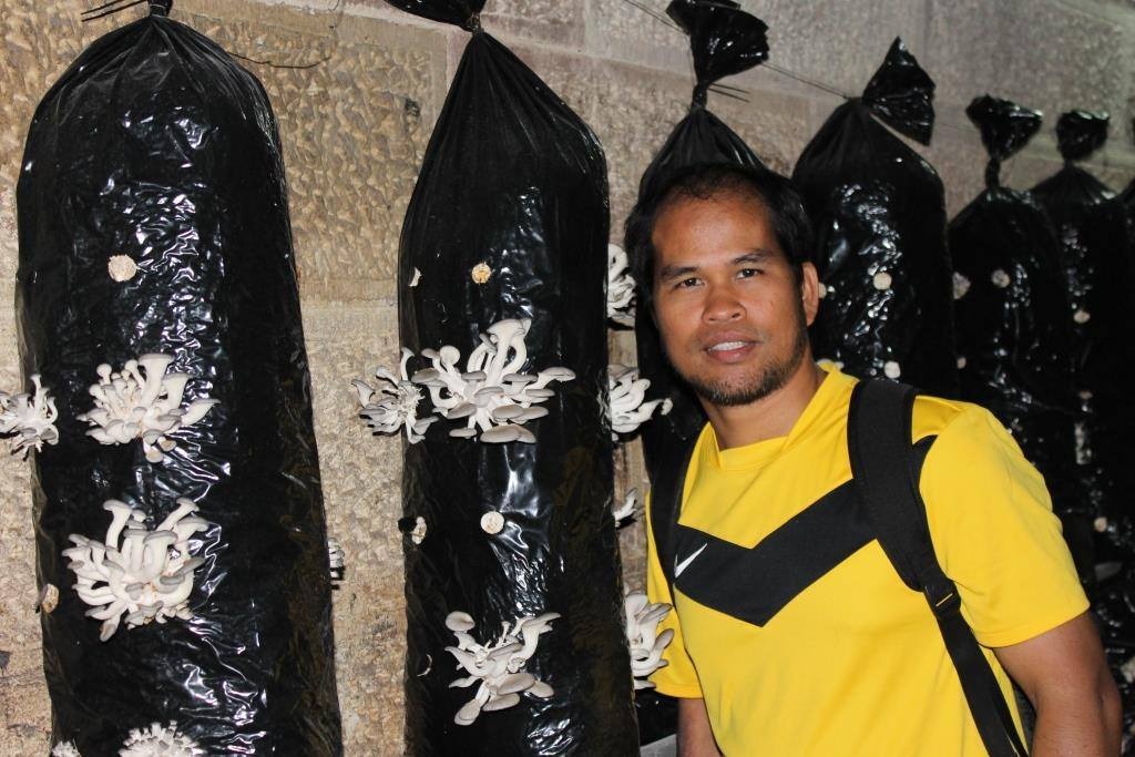 Dampak Bencana di Luwu Utara Terhadap Produksi Kakao Sulsel dan Nasional