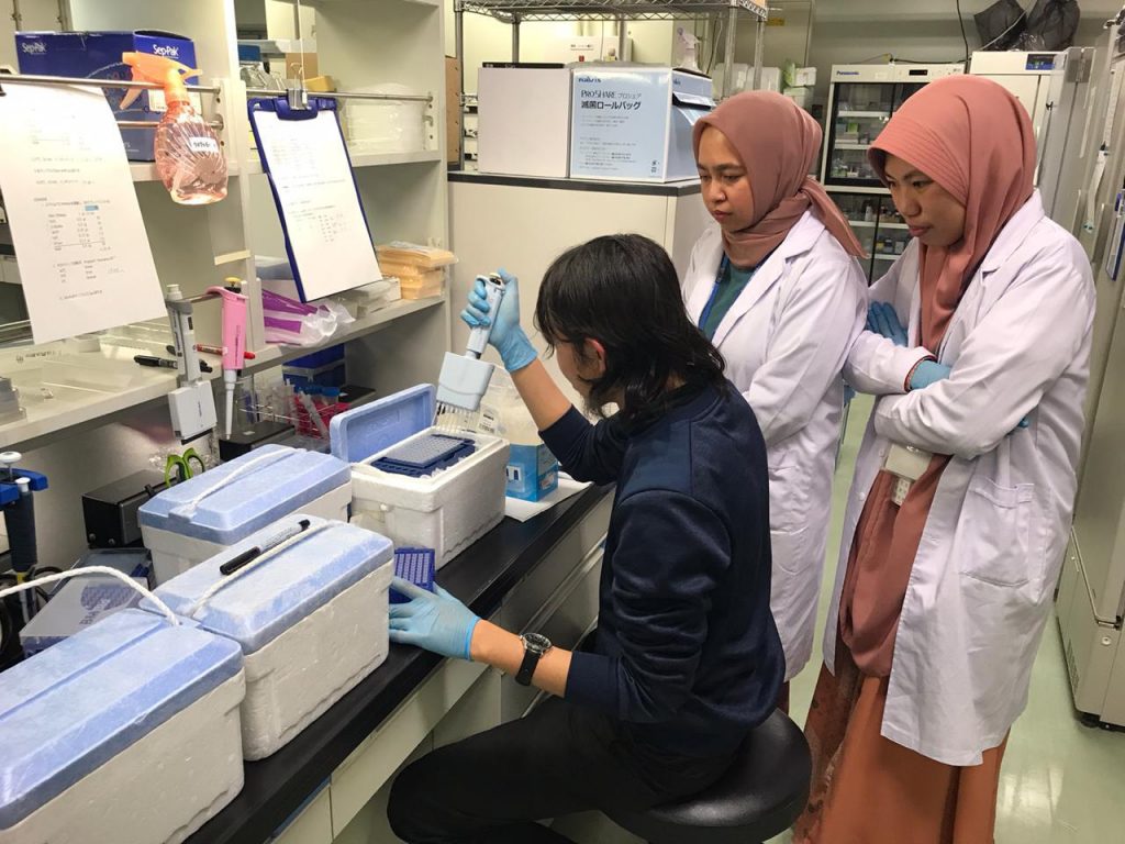 Dosen dan Mahasiswa Farmasi Unhas Riset Kolaborasi di Jepang, Hasilkan Artikel Jurnal Q1