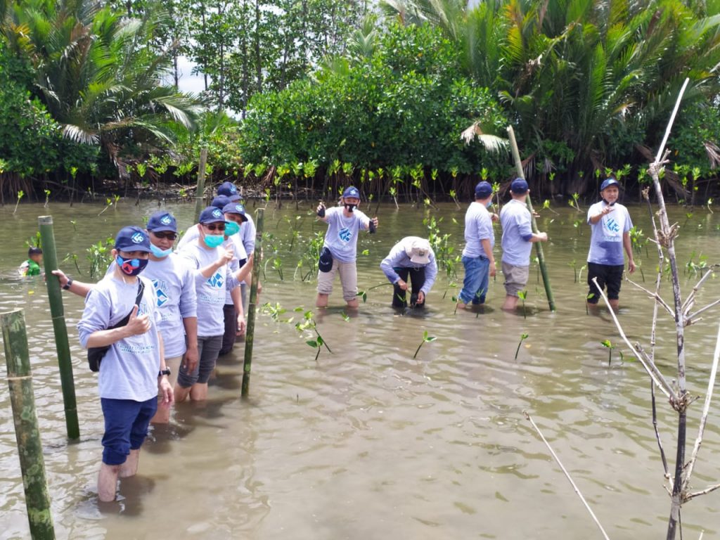 Peduli Lingkungan Pesisir, FT Unhas Tanam 6000 Bibit Mangrove