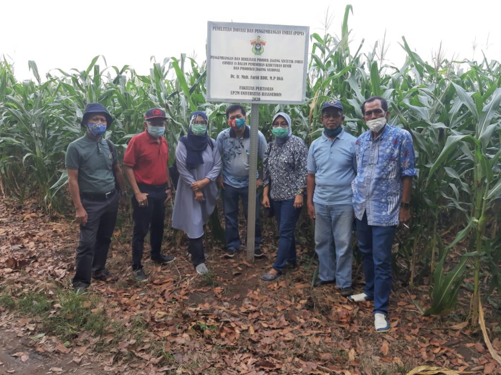 Unhas Kembangkan Hilirisasi Produk Jagung Sintetis SINHAS-1