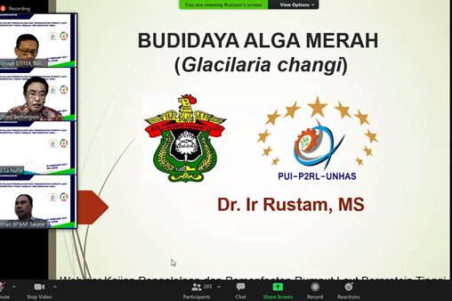 Unhas Gelar Webinar Pengelolaan Rumput Laut dalam Rangka Implementasi SDGs