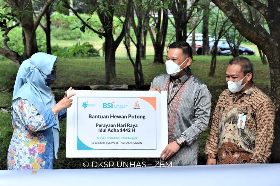Unhas dan Bank Syariah Indonesia Menyalurkan Sapi Qurban untuk Masyarakat