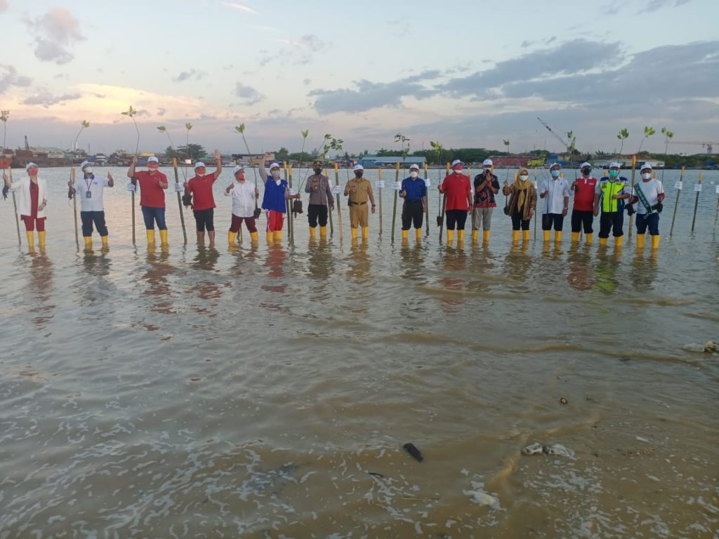 STP Unhas dan PT. Pelindo IV Kerja Sama Tanam 1000 Pohon Magrove untuk Makassar New Port