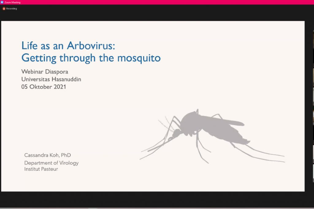 Kuliah Tamu Farmasi Unhas: Life as an Arbovirus, Getting Through the Mosquito