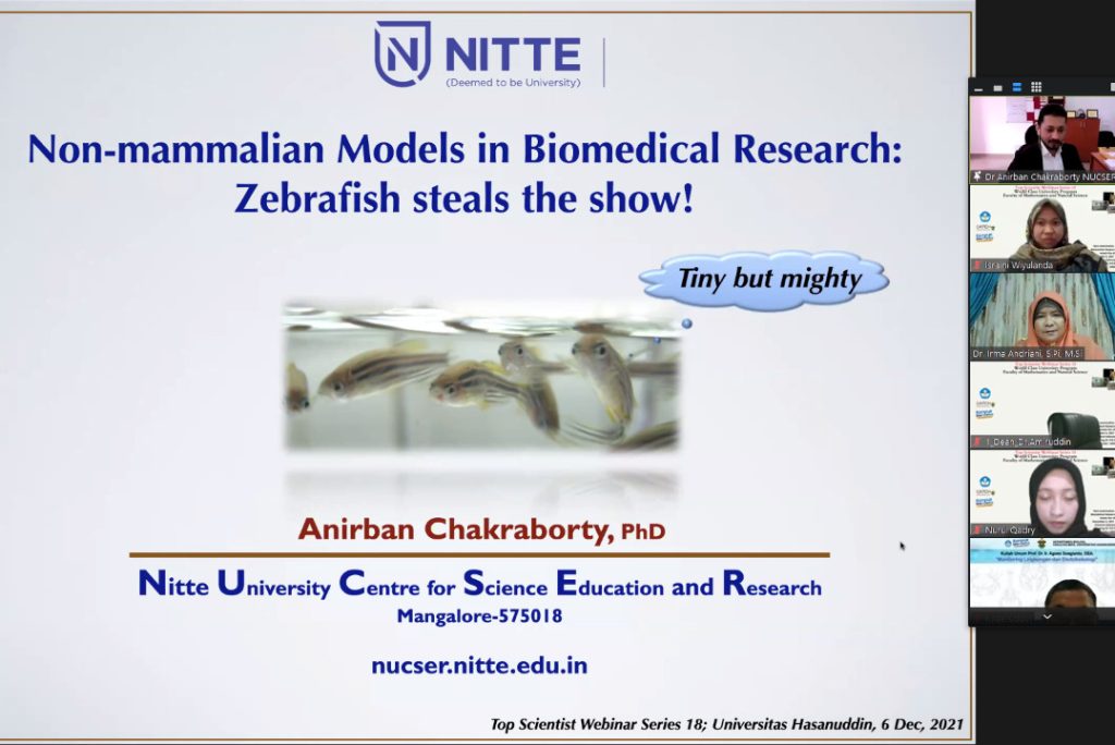 Unhas Gelar Webinar Top series Bahas Potensi Pemanfaatan Ikan Zebra untuk Penelitian