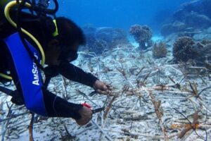 FIKP Unhas Kerjasama Mitra Strategis Selenggarakan Program Konservasi Perlindungan Laut