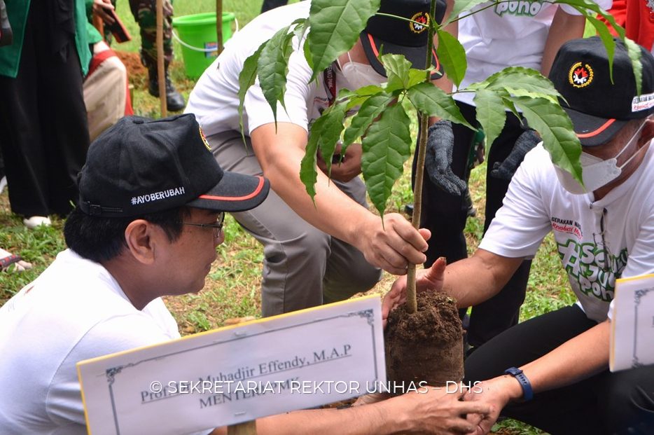 Unhas Terlibat dalam Program Penanaman Sepuluh Juta Pohon Kemenko PMK