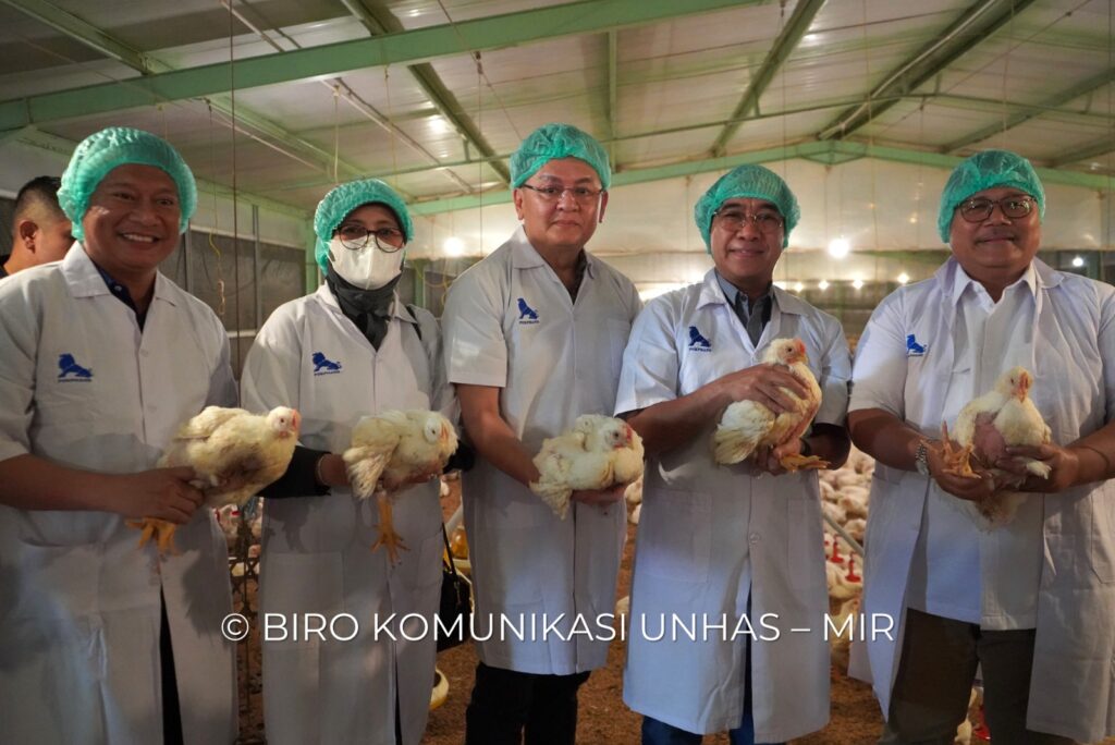 Fakultas Peternakan Unhas Panen Ayam Bersama di Unit Closed House