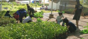 Unhas Gandeng BPTH, Bagikan Ribuan Bibit Pohon pada Penerimaan Maba 2023