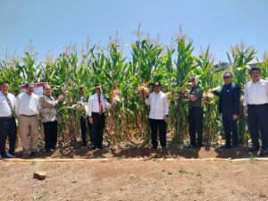 Dies Natalis ke-67, Rektor Unhas Launching Jagung Jago Unhas (JJUH)