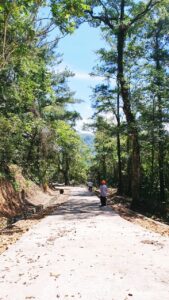 Hutan Pendidikan