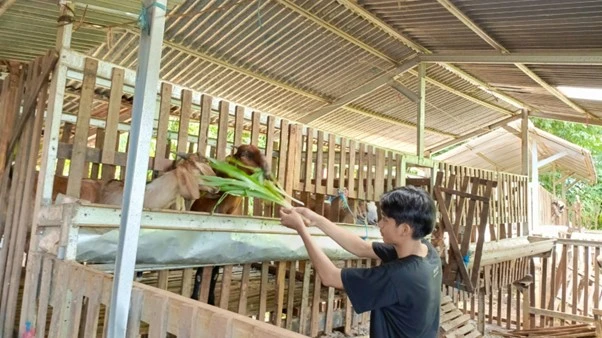 TEKNOLOGI PAKAN KOMPLIT PADA TERNAK RUMINANSIA DI DESA MONCONGLOE LAPPARA KECAMATAN MONCONGLOE KABUPATEN MAROS