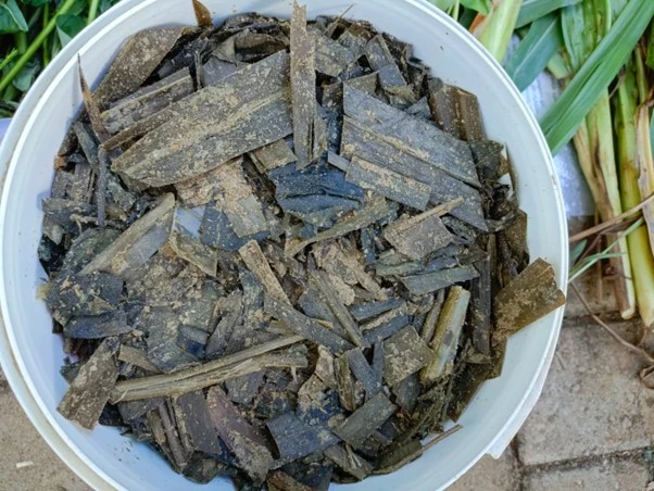 TEKNOLOGI PAKAN KOMPLIT PADA TERNAK RUMINANSIA DI DESA MONCONGLOE LAPPARA KECAMATAN MONCONGLOE KABUPATEN MAROS