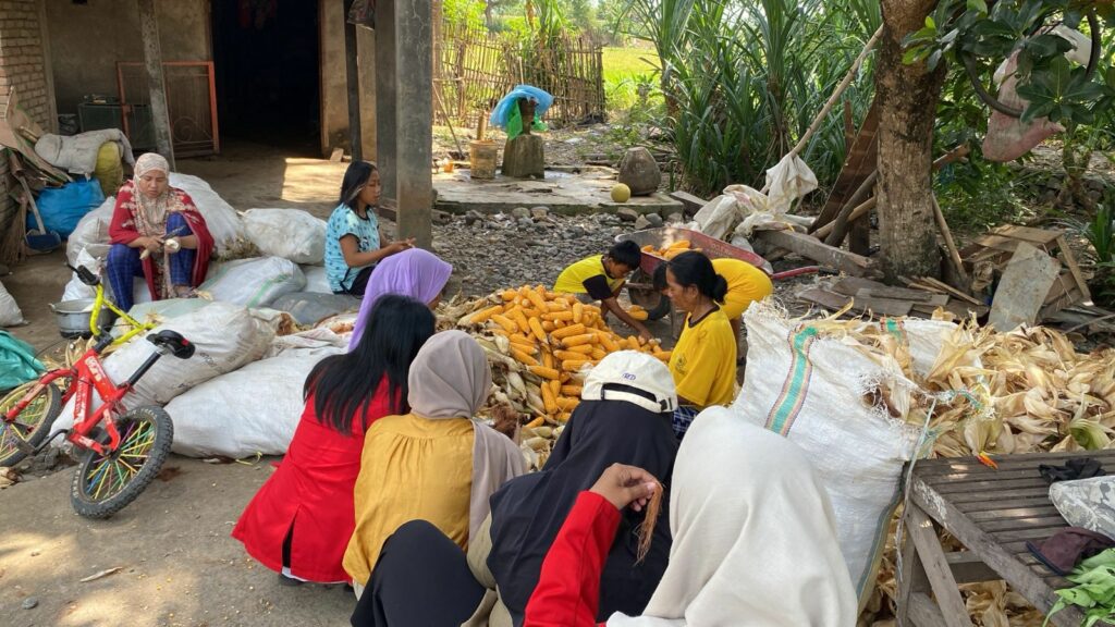Atasi Masalah Limbah, Mahasiswa Unhas di Takalar Olah Tongkol Jagung Jadi Produk Wirausaha