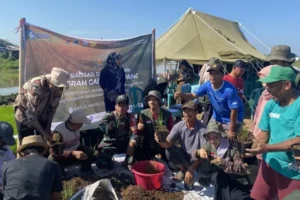 Inovasi Padi Apung oleh Mahasiswa Unhas untuk Ketahanan Pangan di Desa Moncongloe, Kab. Maros