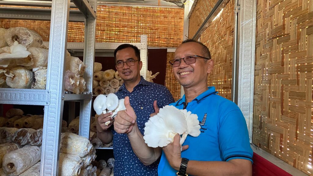 Tim PPK ORMAWA KM PILAR Unhas Lakukan Pendampingan Sanggar Tani Muda dan Rumah Jamur Tiram di Kabupaten Maros