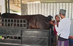 Fakultas Peternakan Unhas Studi Banding ke Joko Tingkir Stable, Siapkan Pusat Unggulan Peternakan Kuda