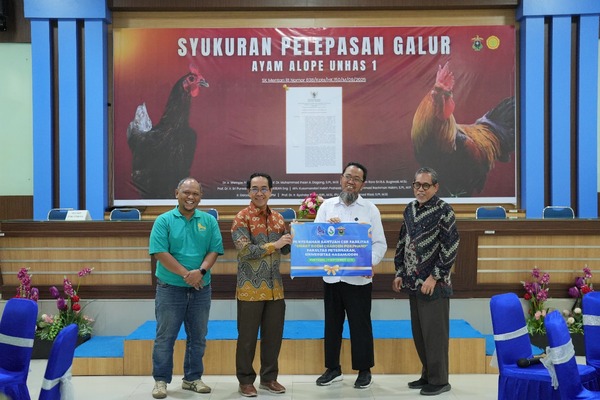 Unhas Resmikan Pelepasan Galur Ayam Alope Unhas-1 sebagai Inovasi Unggulan Riset Peternakan
