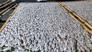Ikan asin dijemur di rak bambu