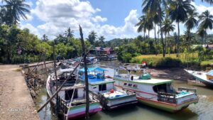 Perahu nelayan berlabuh di kanal berlatar pohon kelapa