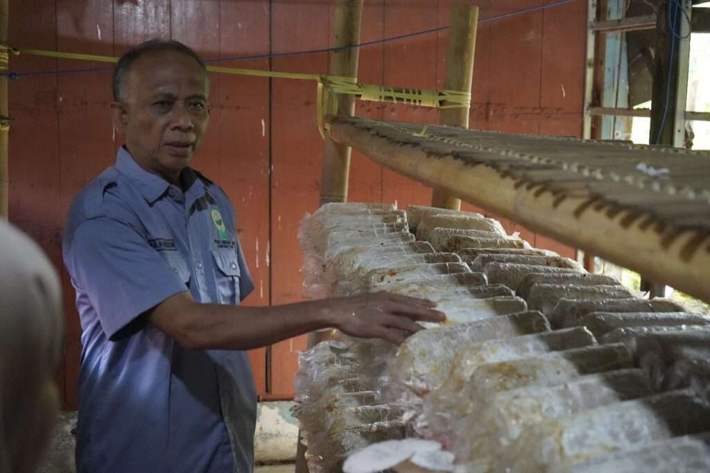 Unhas Produksi Jamur Tiram di Kampung Rimba, Konsep Budidaya Berkelanjutan