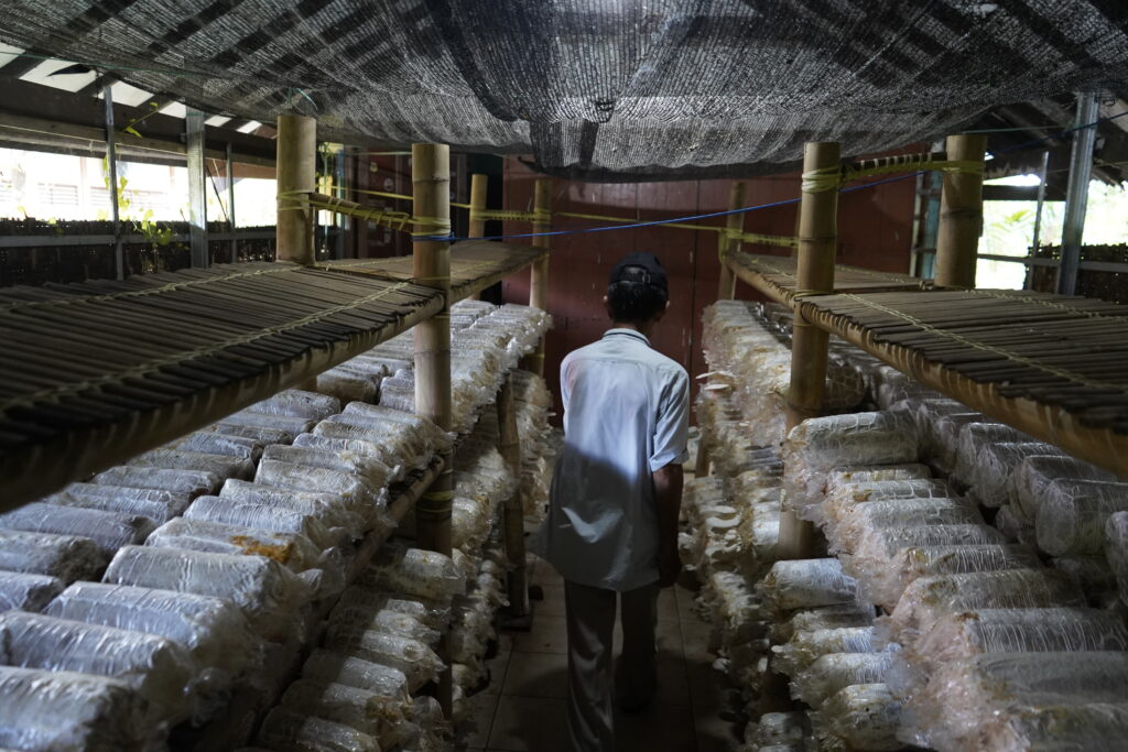 Jamur Tiram Unhas: Dari Riset Kampus hingga Pemberdayaan Masyarakat