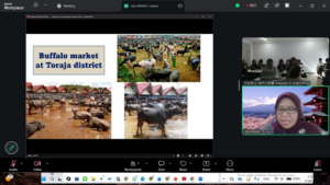 Zoom presentation about buffalo market in Toraja district