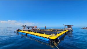 Floating fish farm platform with workers and boats
