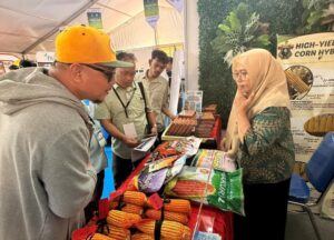 Pameran benih jagung hibrida dan hasil panen
