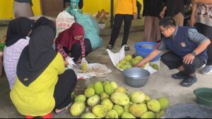 Orang-orang menyortir buah sukun di lantai