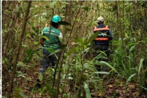 FIKP Unhas Dukung SDGs 14 melalui Monitoring Dampak Pertambangan di Tanjung Buli