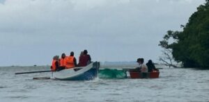 Dua perahu bertemu di perairan dekat hutan bakau