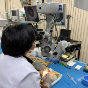Surgeon using microscope during delicate surgical procedure