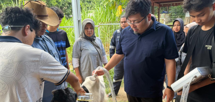 Group of people examining goat outdoors