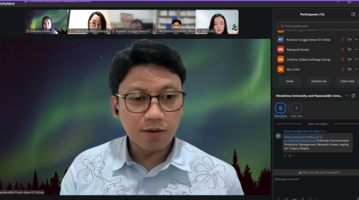 Man speaking during virtual meeting with aurora background