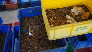 Plastic crates filled with mealworms and food scraps