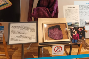 Museum display featuring purple fabric artifact and Japanese informational signs