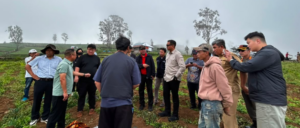 Group of people gathering in a misty agricultural field