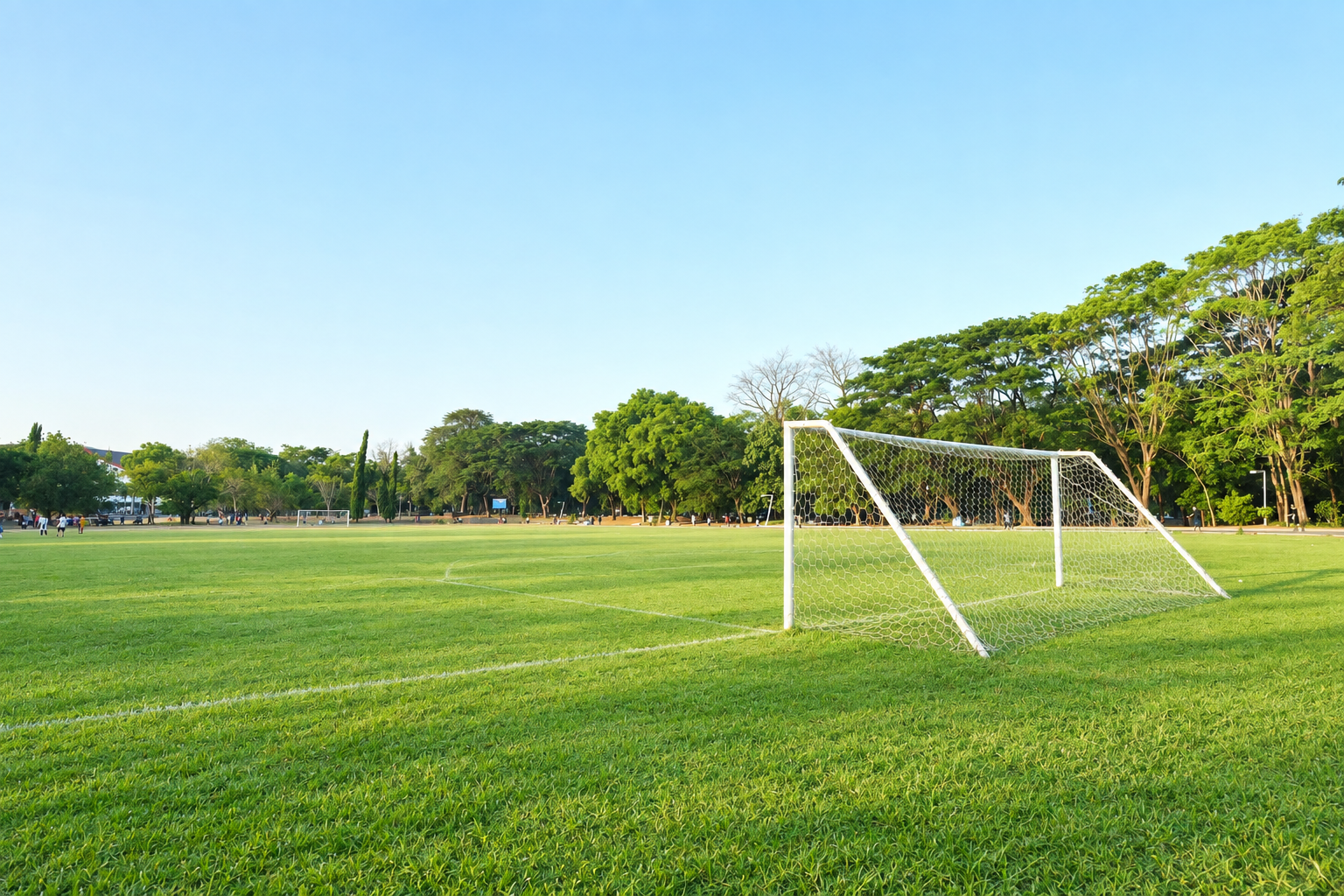 Gawang sepak bola di lapangan hijau berpohon