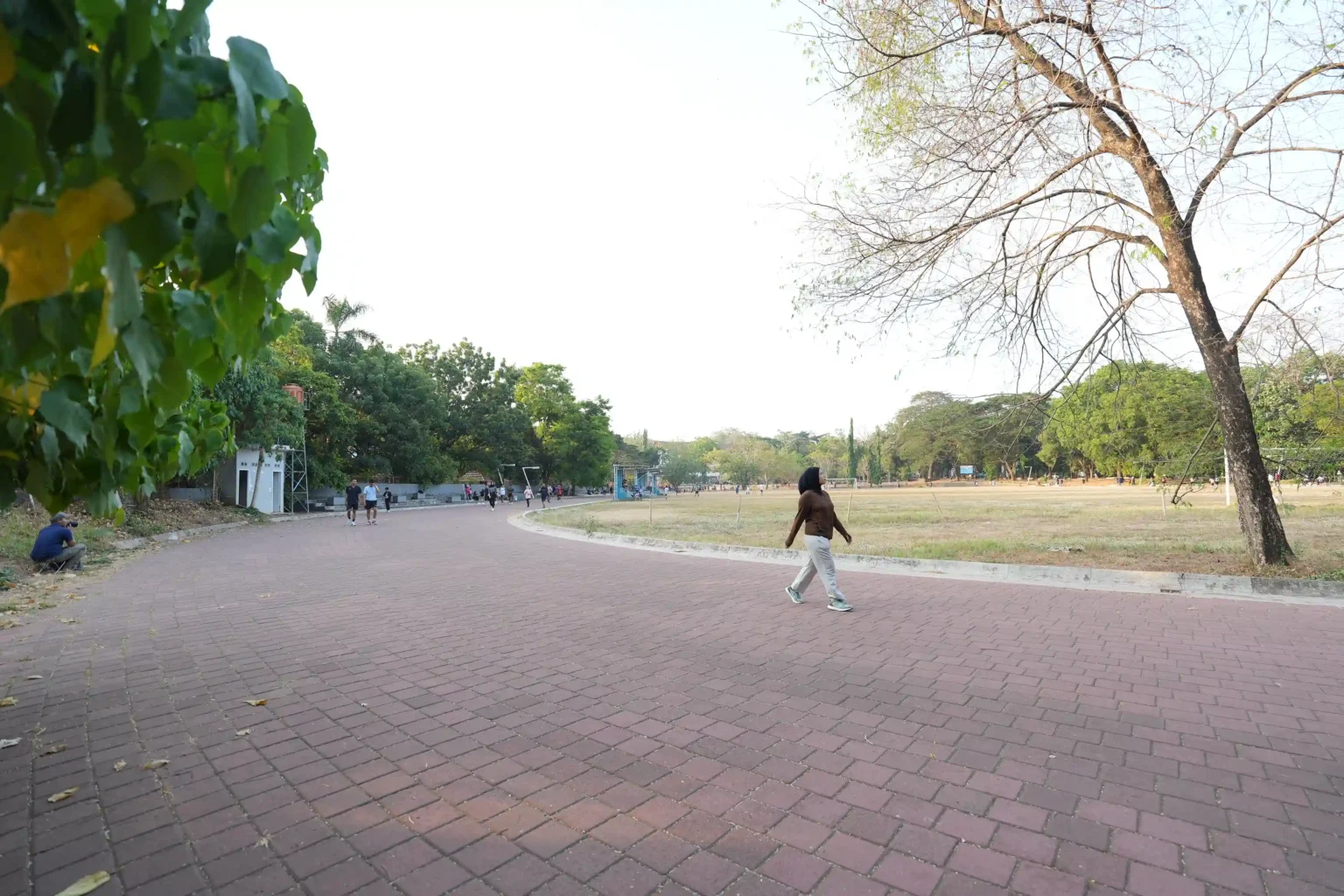 Pejalan kaki di jalur taman dengan pepohonan rindang
