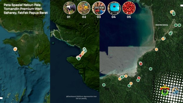 Unhas Petakan Kebun Pala Tomandin Premium di Fakfak, Kembangkan Sistem Digital Berbasis Spasial