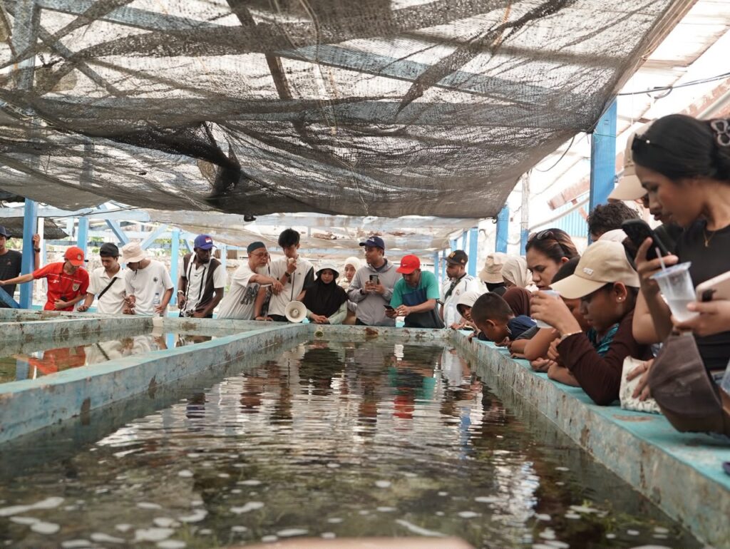 Pengunjung mengamati kolam budidaya ikan di bawah paranet